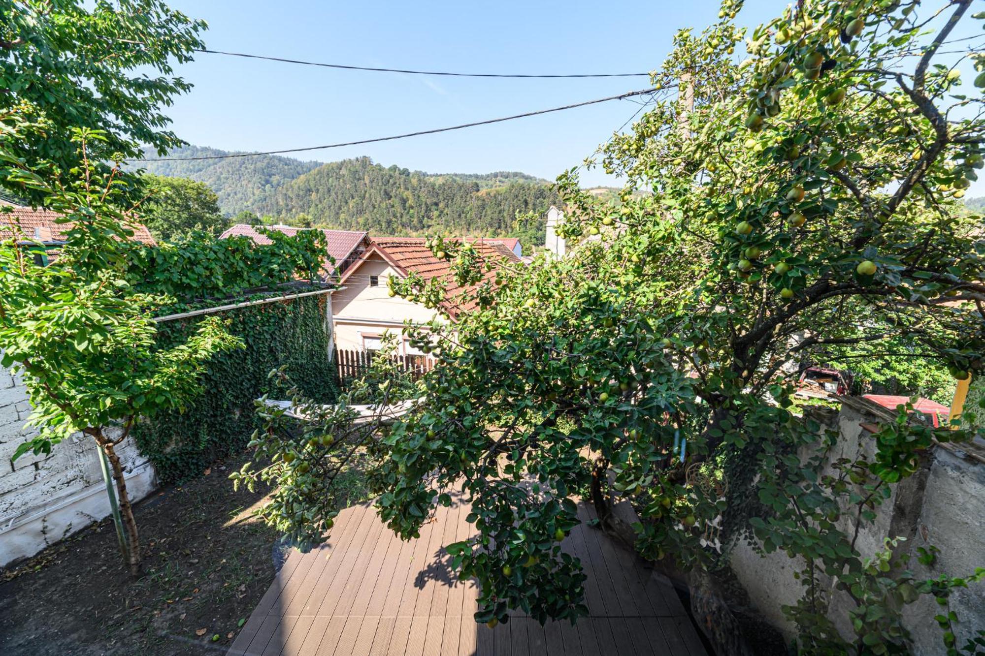 Lagom - Hot Tub Hideout Braşov Eksteriør billede